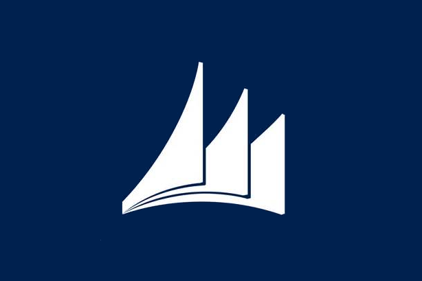 Microsoft Navision